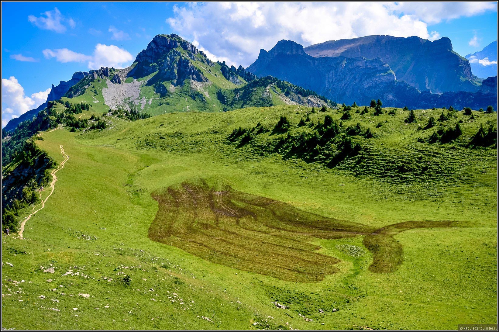 Schynige Platte (Wilderswil)
